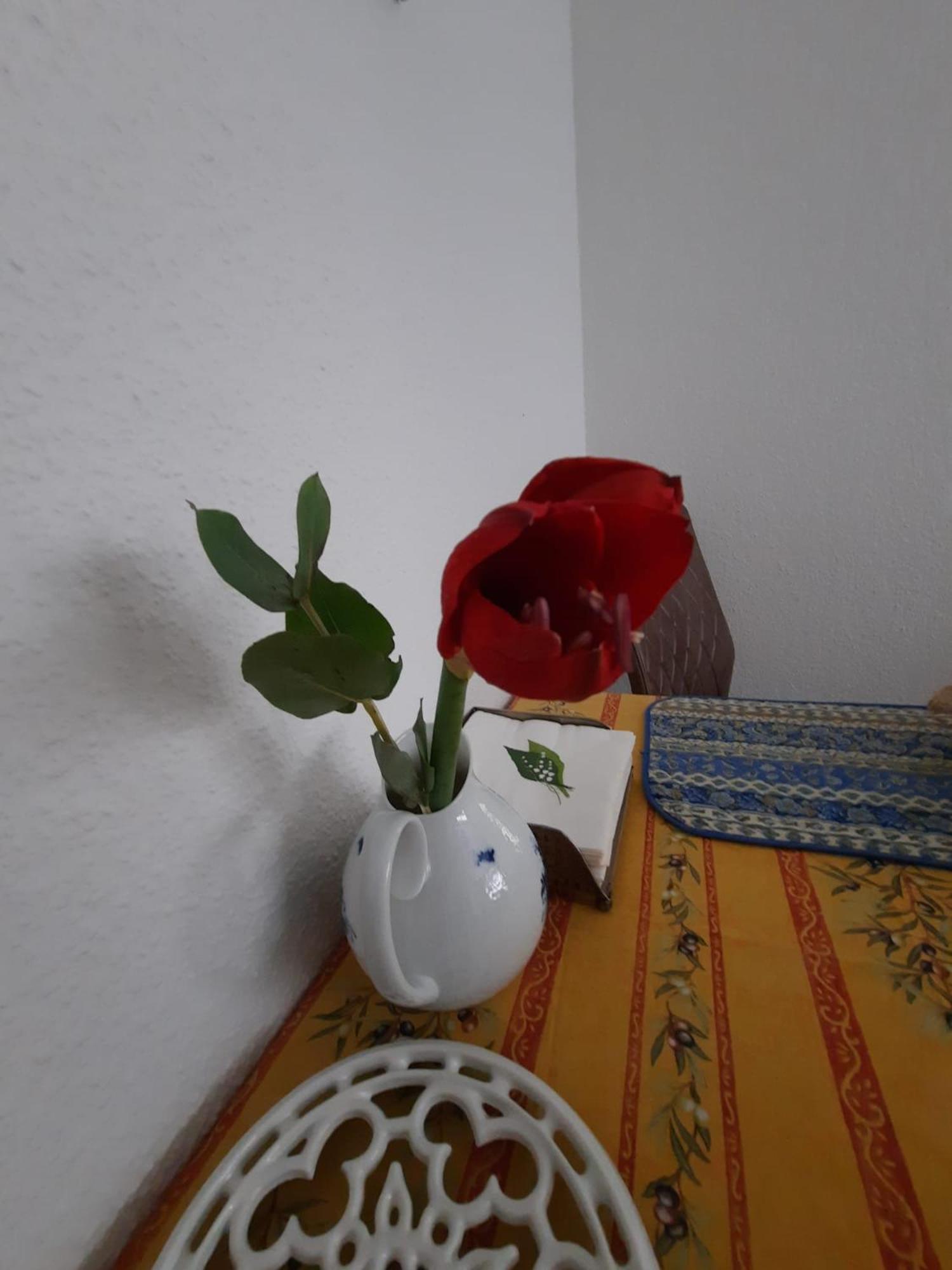 Gemuetliches Nest In Bester Koelner City-Wohnlage Ngoại thất bức ảnh